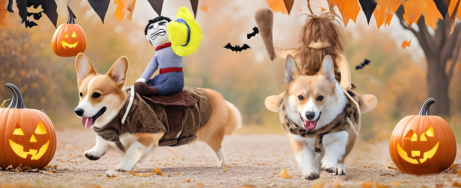 dog cowboy rider and primitive man rider costume