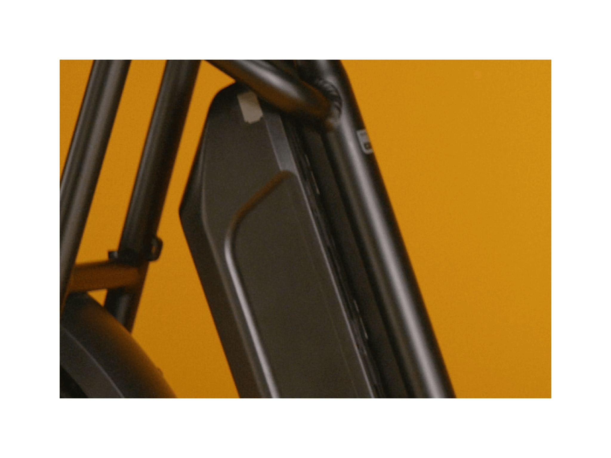 RadRunner™ Plus Electric Cargo Utility Bike、mySite、bearsvspackers