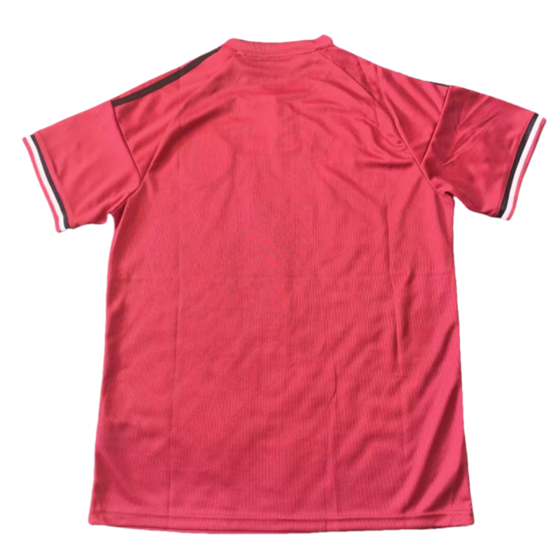 25-26 Manchester United Red Rose Special Editionsoccer jersey-Fan Version: Ajax 24-25 Home Stadium Jersey - Fans Version mysite: Adidas luxuryfootballshirts.com: https://www.luxuryfootballshirts.com/