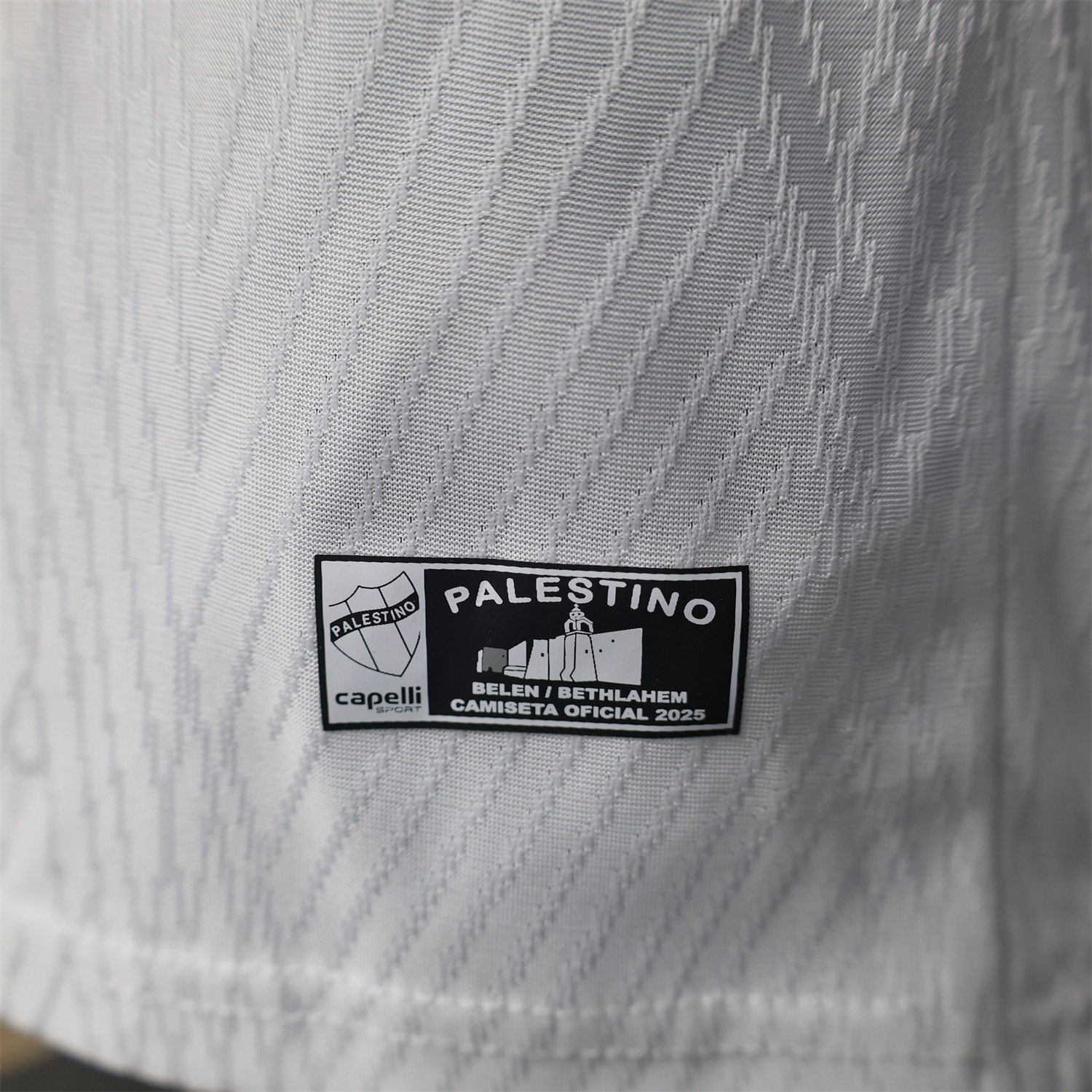 foot-Club Deportivo Palestino 25-26 Home Jersey - Player Version