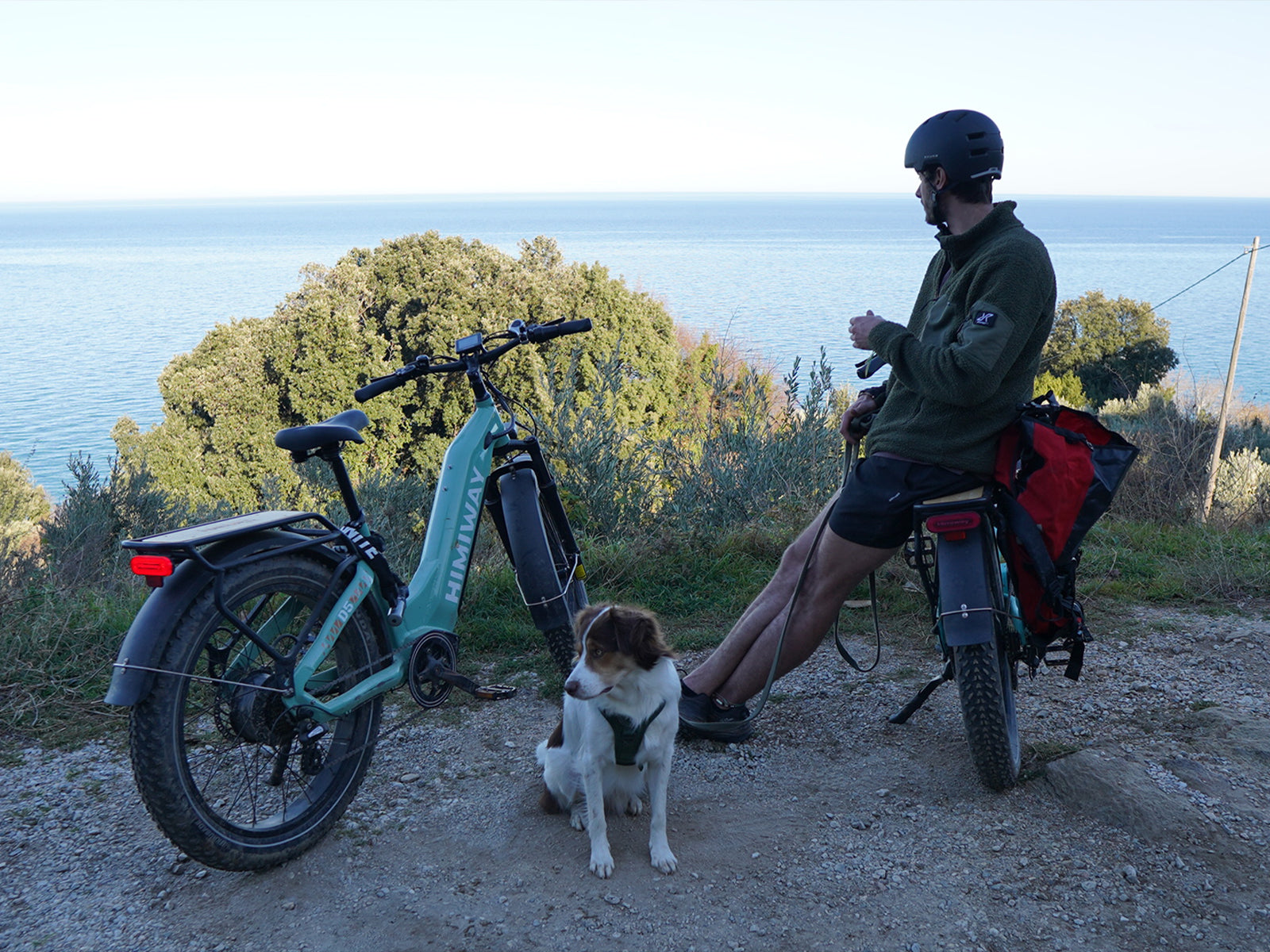 D5 ST(Zebra ST) / Premium All-terrain Electric Fat Bike、mySite、bearsvspackers