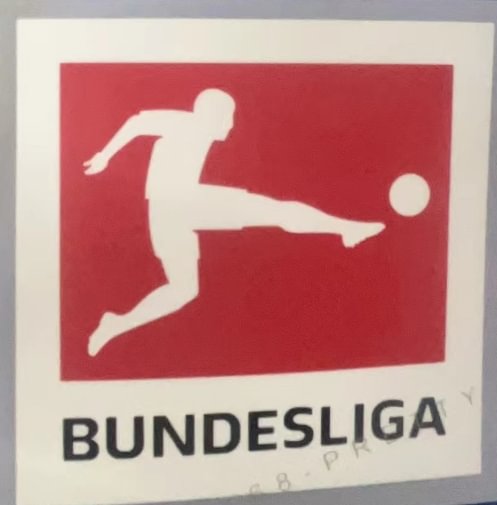 2025/2026 Player Version Bayern Munich Training Wear Football Jersey 1:1 Thai Quality:football jersey mysite: unitedjerseyfootball 邓江浪:football