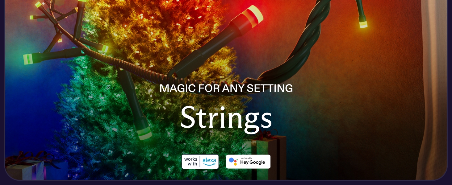Strings