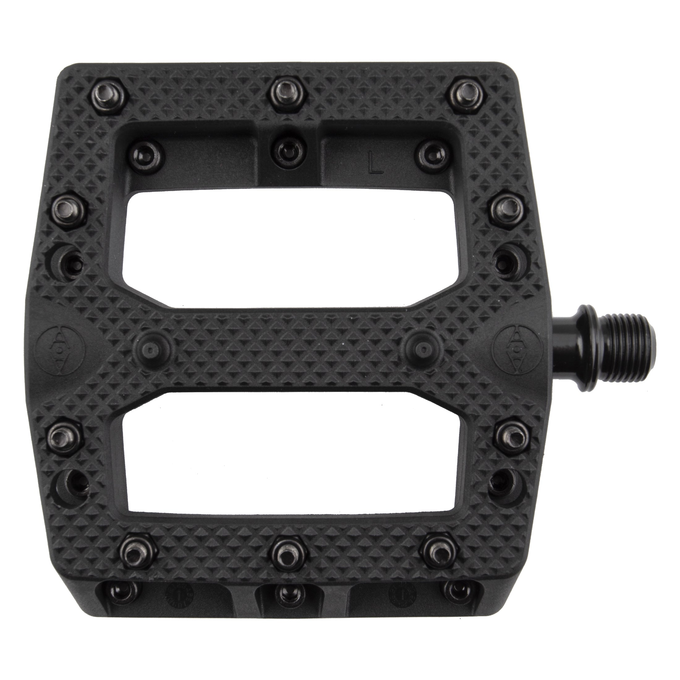 Foot Fetish、mySite、bearsvspackers