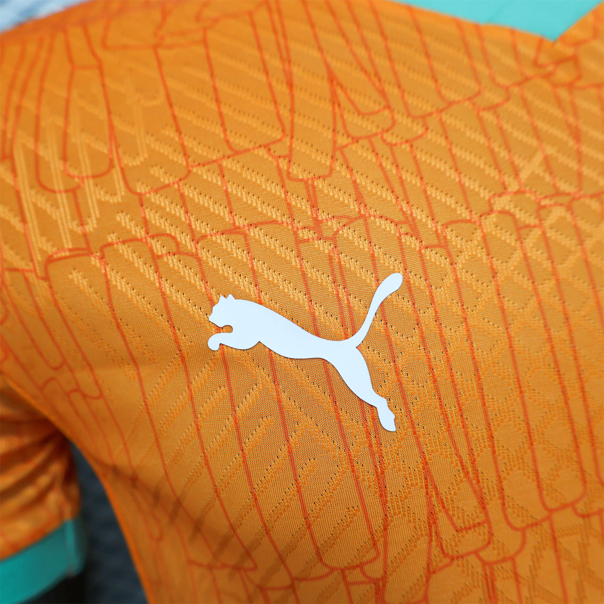 ManixJersey.com | Ivory Coast 2024 Home Jersey - Player Version -Customize Name, Number and Patch | Worldwide Shipping