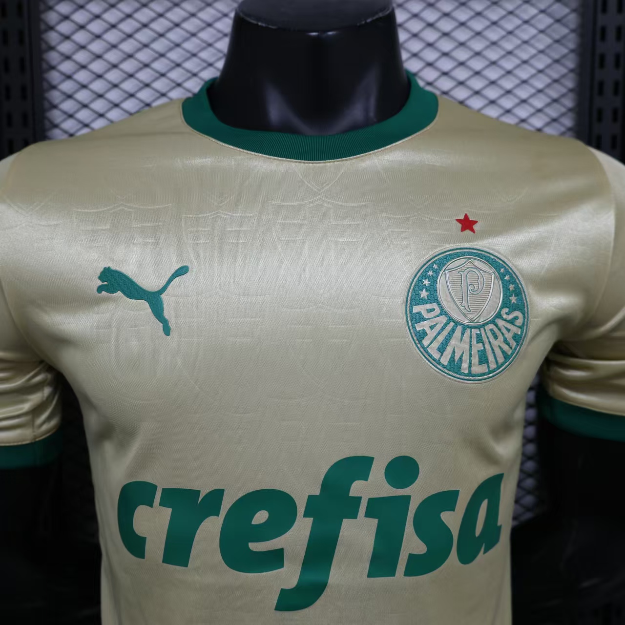 Higojerseys-Palmeiras 2024 110-Year Anniversary Jersey - Player Version