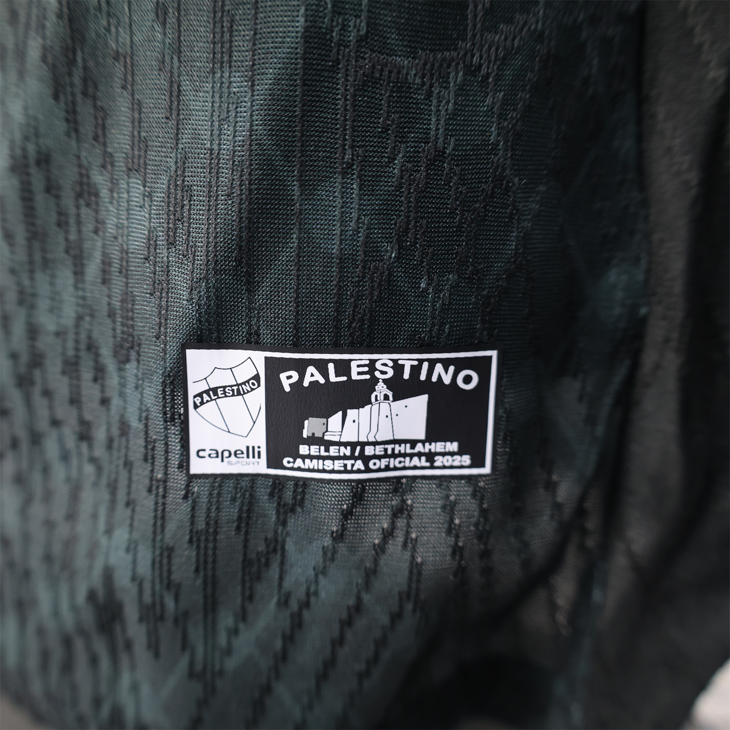 foot-Club Deportivo Palestino 25-26 Away Jersey - Player Version