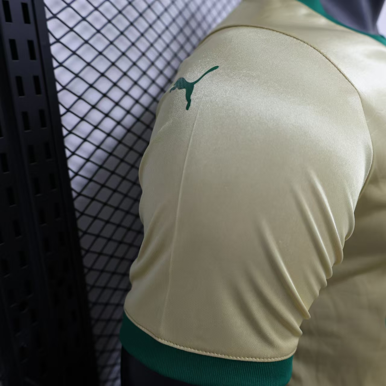 Higojerseys-Palmeiras 2024 110-Year Anniversary Jersey - Player Version