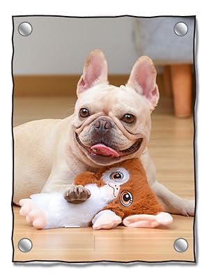 Gremlins, Stripe, Pet, Dog, Toy, Costume, Halloween