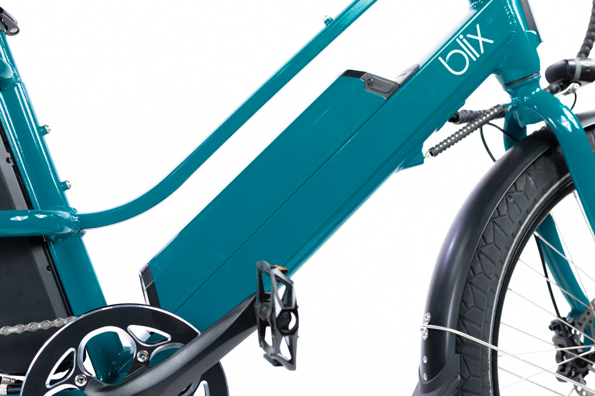 Packa Genie Cargo eBike、mySite、bearsvspackers