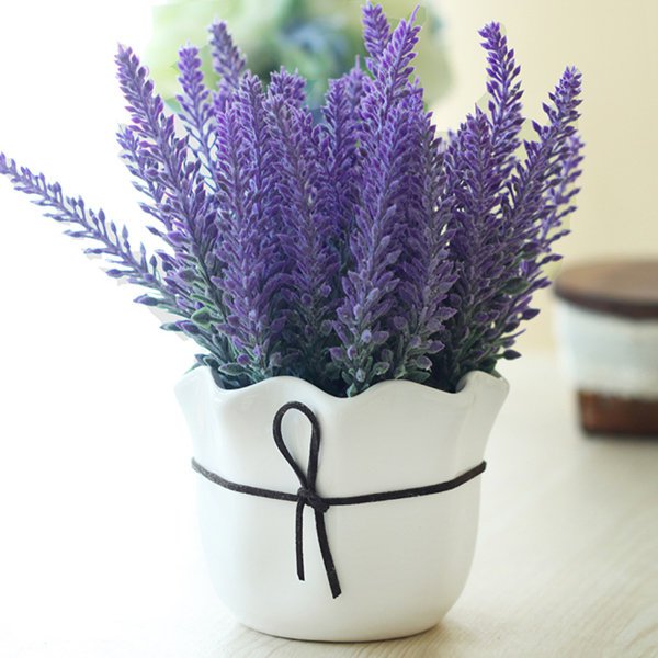 catalog/editor/image/2019/01/24/0e6595a419be0ed27f3c0a440043f651.jpg 9d436e22-cf6c-4800-9677-192c53958157.jpg