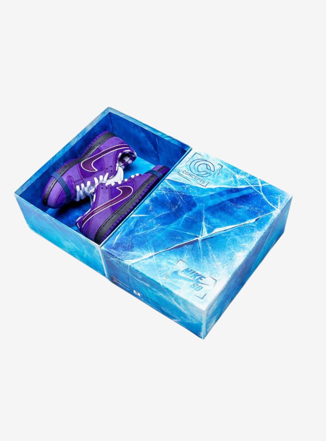Nike SB Dunk Low Concepts Purple Lobster (Special Box)、NIKE、Cacoeks