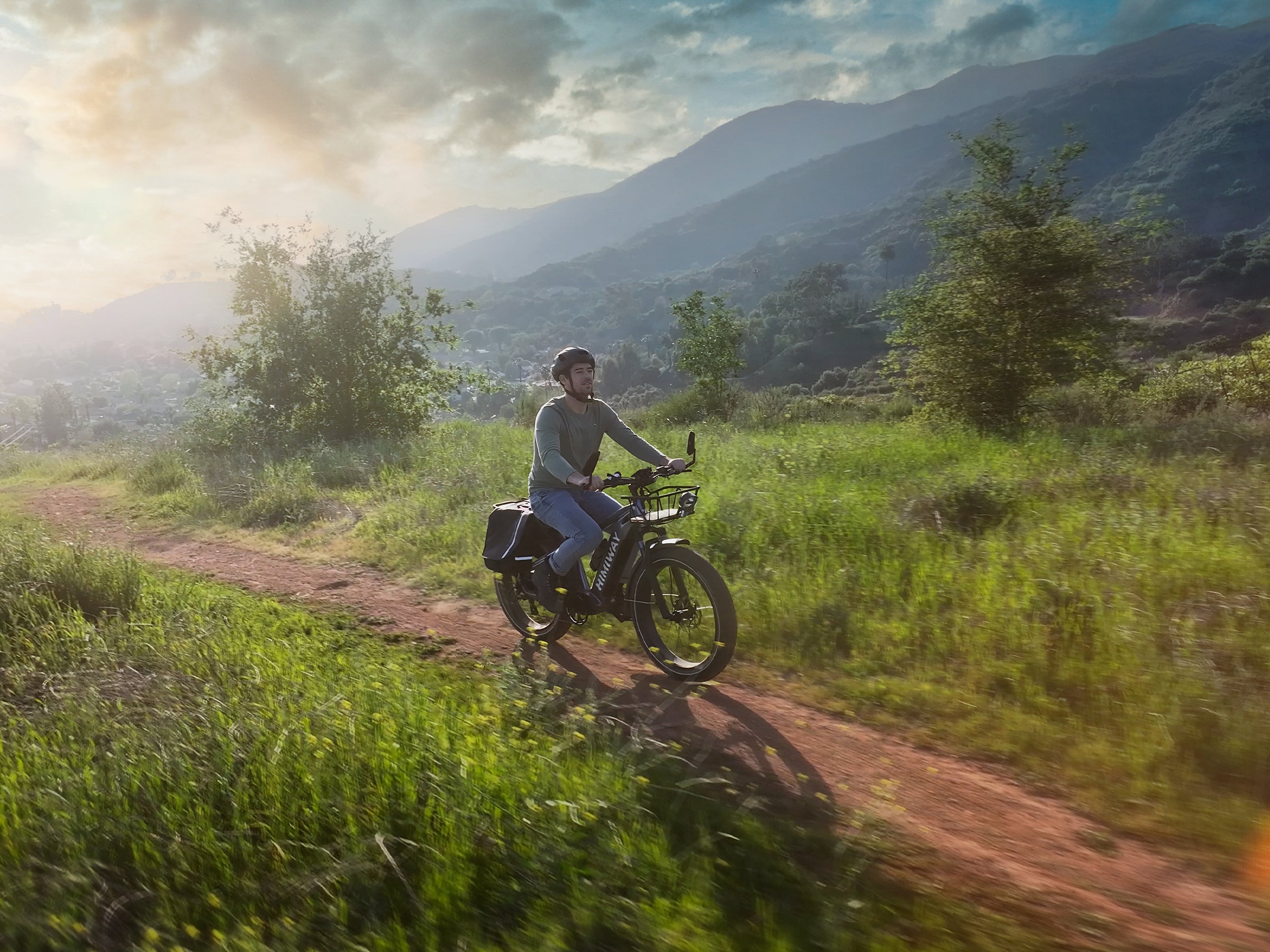 D5(Zebra) / Premium All-terrain Electric Fat Bike、mySite、bearsvspackers