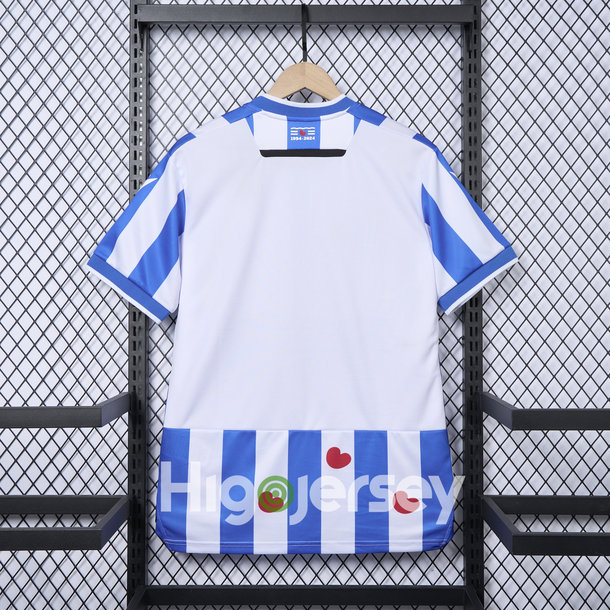 Higojerseys-SC Heerenveen 24-25 Home Jersey - Fans Version