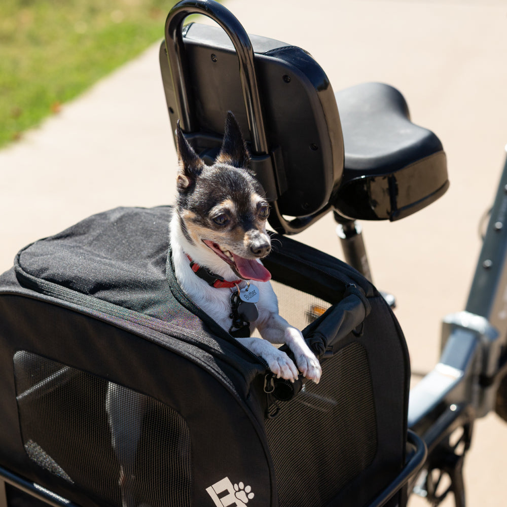 Small Pet Carrier、mySite、bearsvspackers