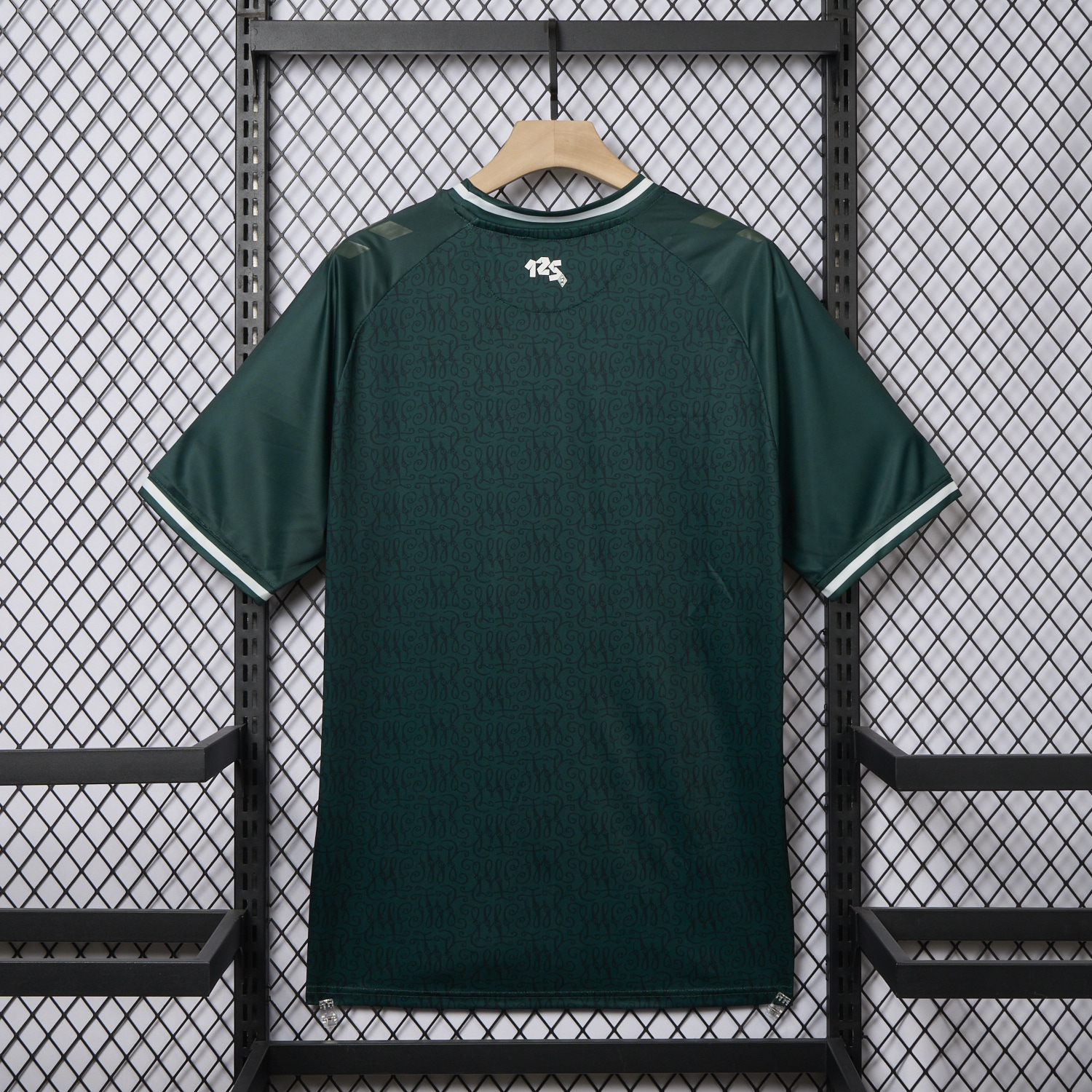 foot-Werder Bremen 23-24 125th Anniversary Jersey - Fans Version