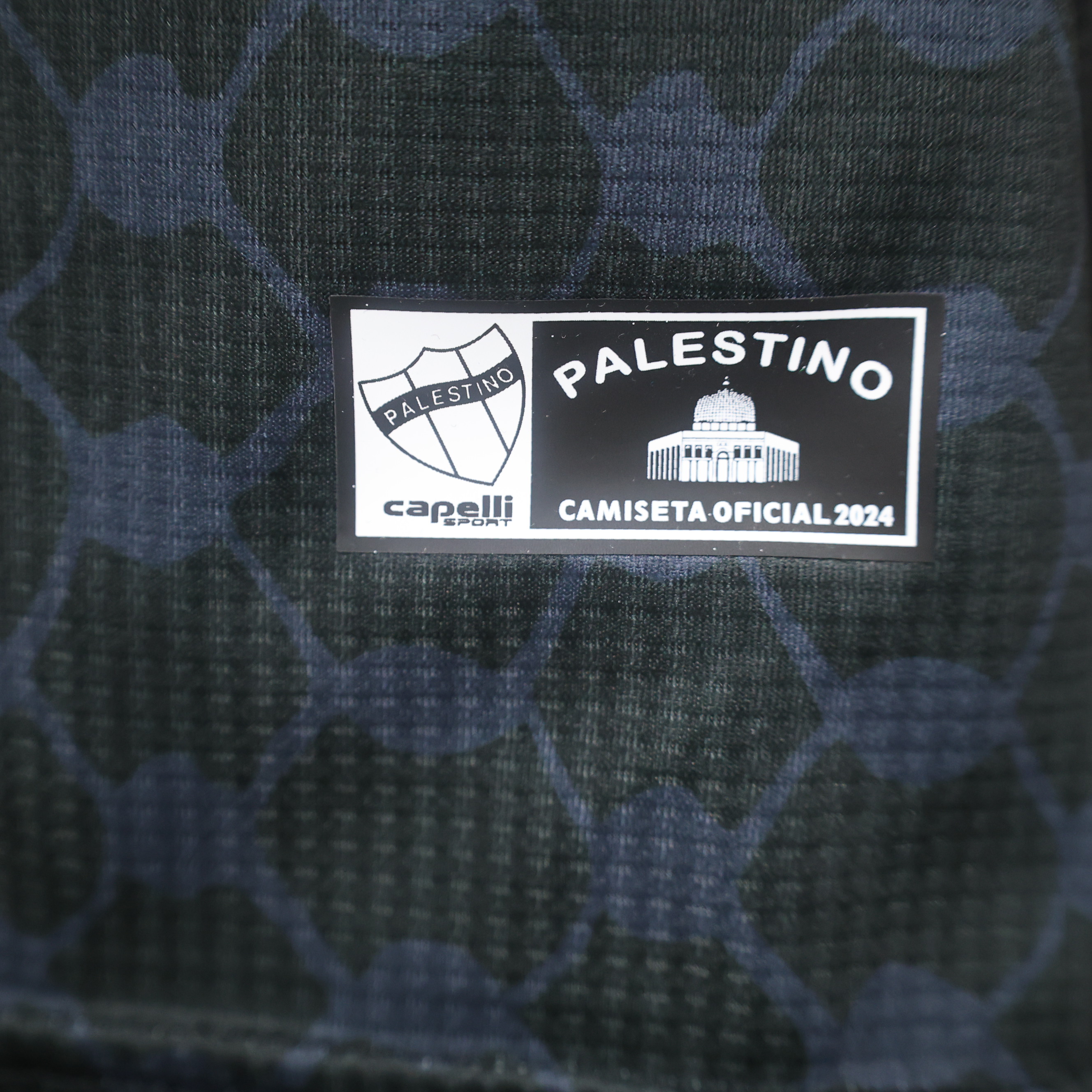 Higojerseys-Club Deportivo Palestino 2024 Away Jersey - Player Version