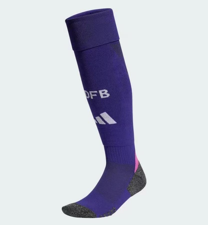 Higojerseys-Germany 2024 Away Socks - Purple
