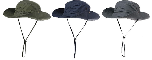Pasted Image