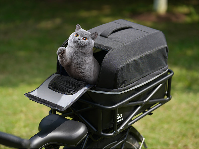 Pet Travel Package、mySite、bearsvspackers