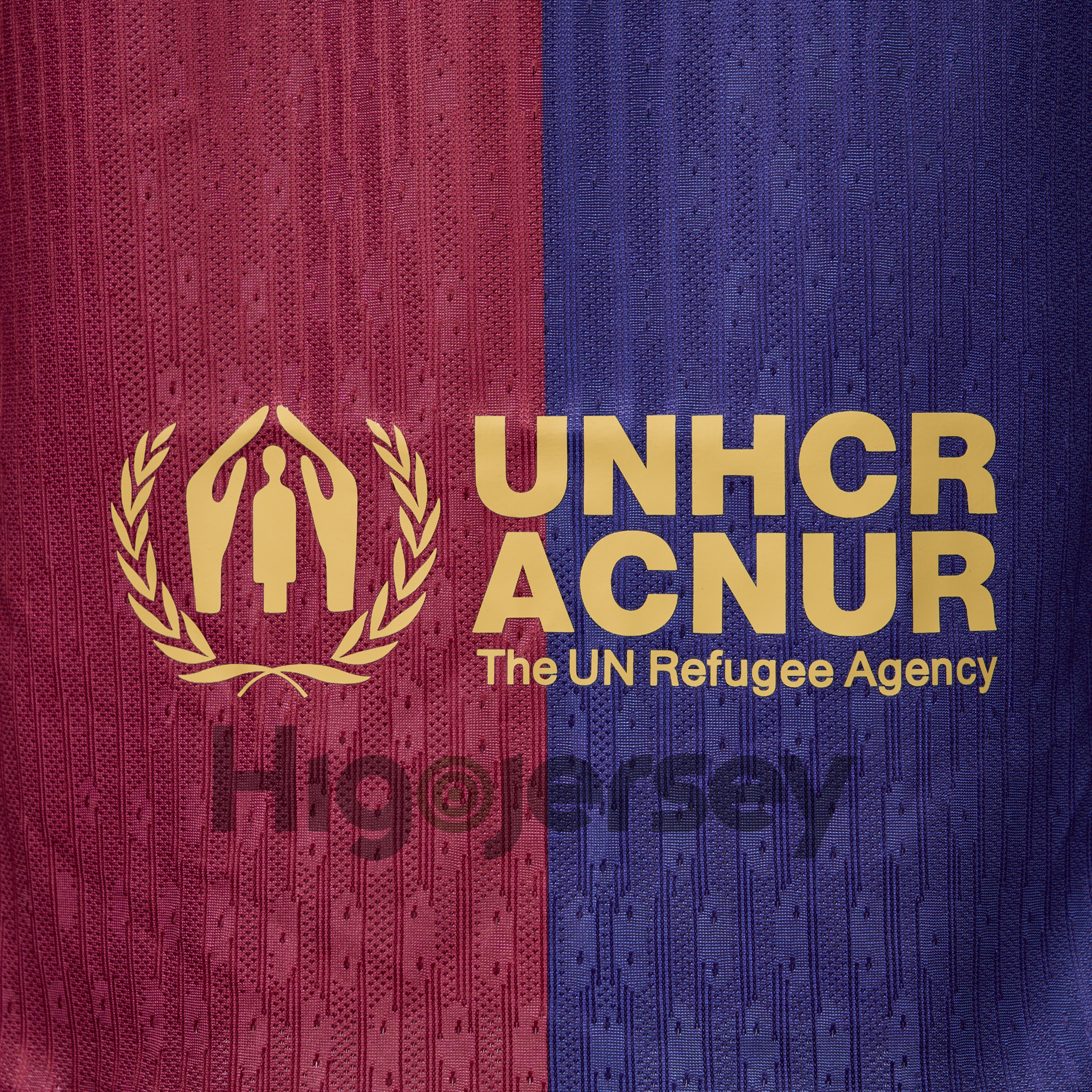 Higojerseys-Barcelona 24-25 Home Unsponsored Jersey - Player Version