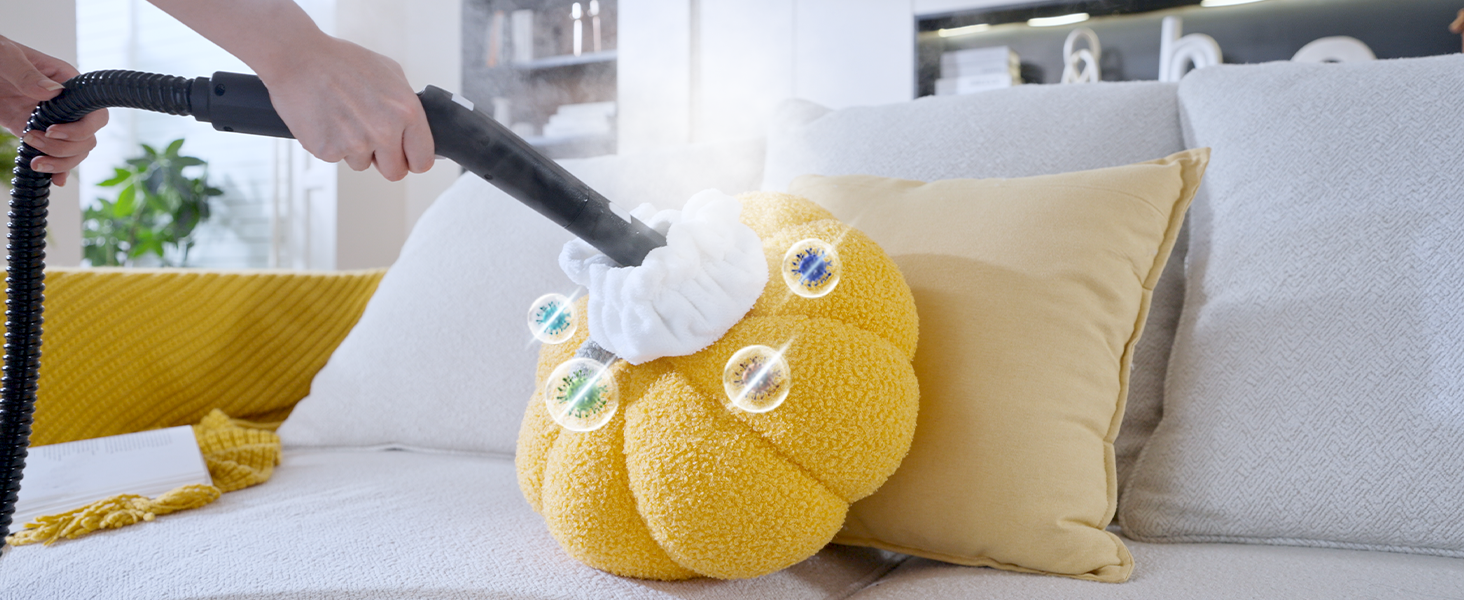 steam cleaner