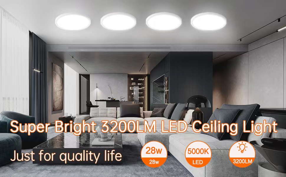 LED Ceiling Light