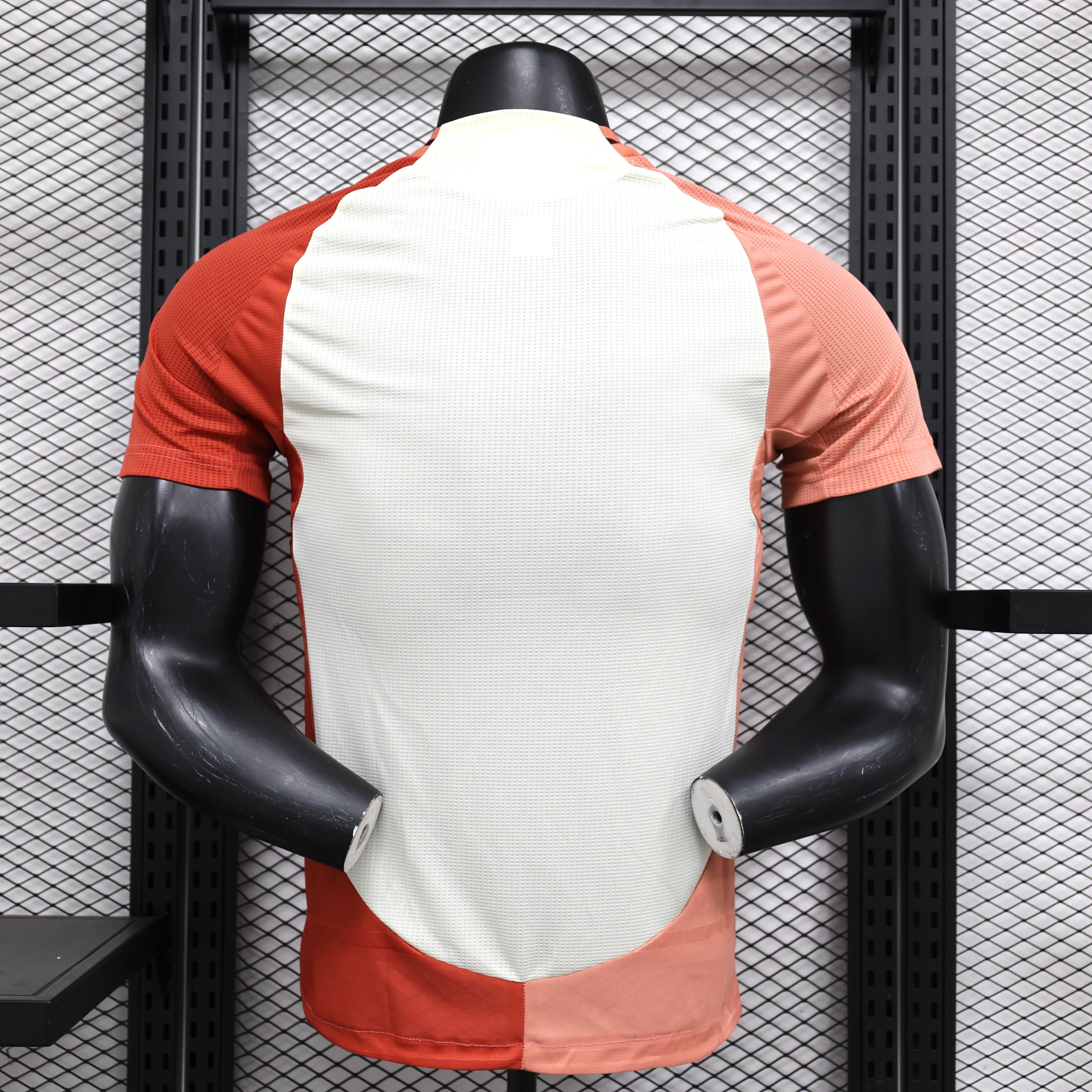 ManixJersey.com | Olympique Lyonnais Lyon 24-25 Third Jersey - Player Version -Customize Name, Number and Patch | Worldwide Shipping