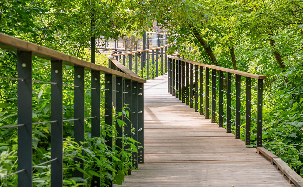 1/8" Stainless Steel Cable