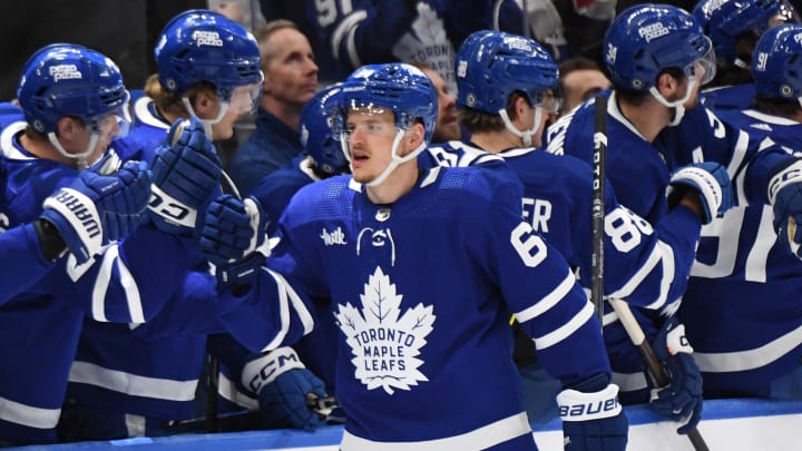 Veteran Toronto Maple Leafs Players in Danger of Losing Their Roster Spots
