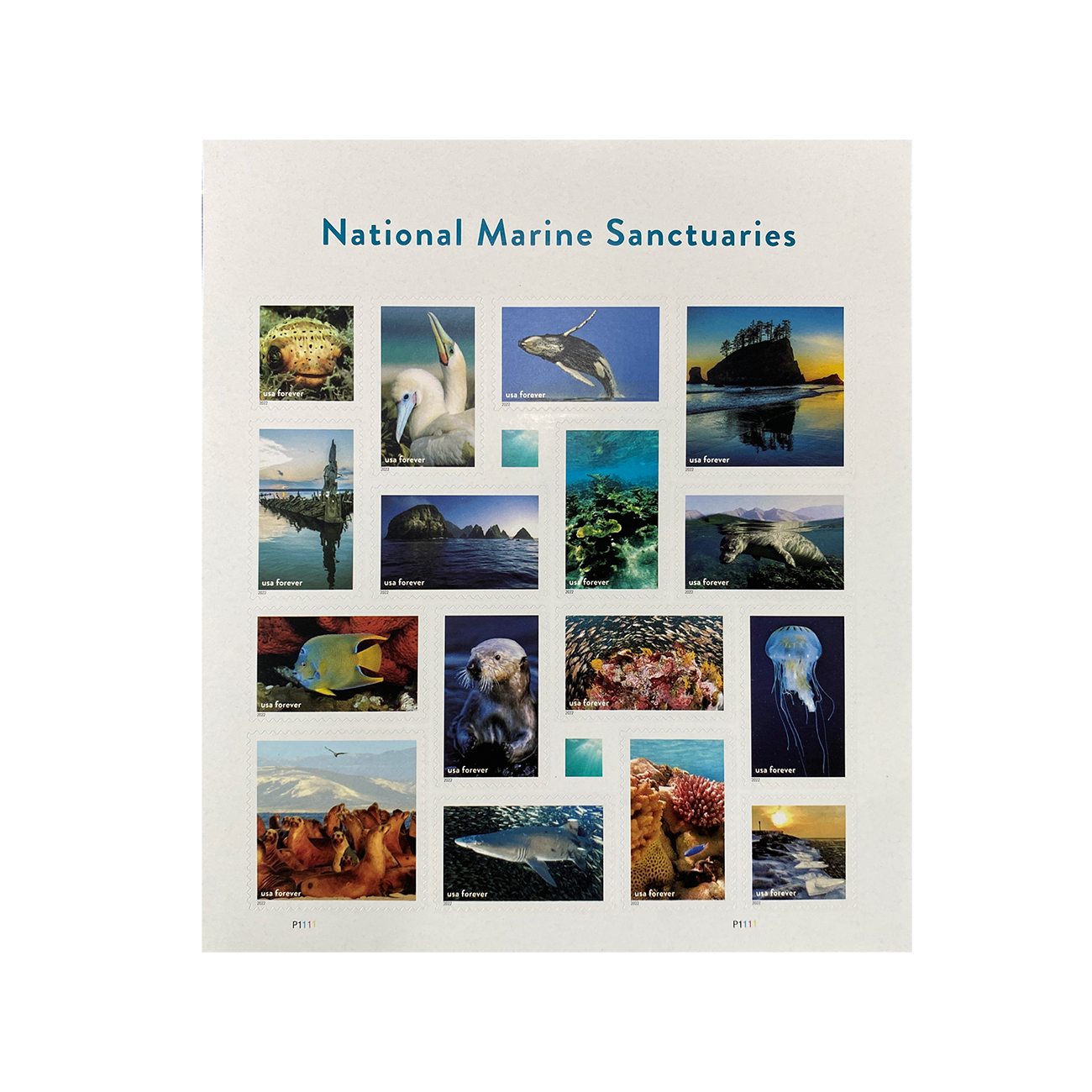 National Marine Sanctuaries Stamps 2022 First-Class Forever Postage Stamps