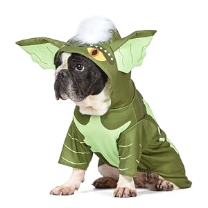 Gremlins, Stripe, Pet, Dog, Toy, Costume, Halloween