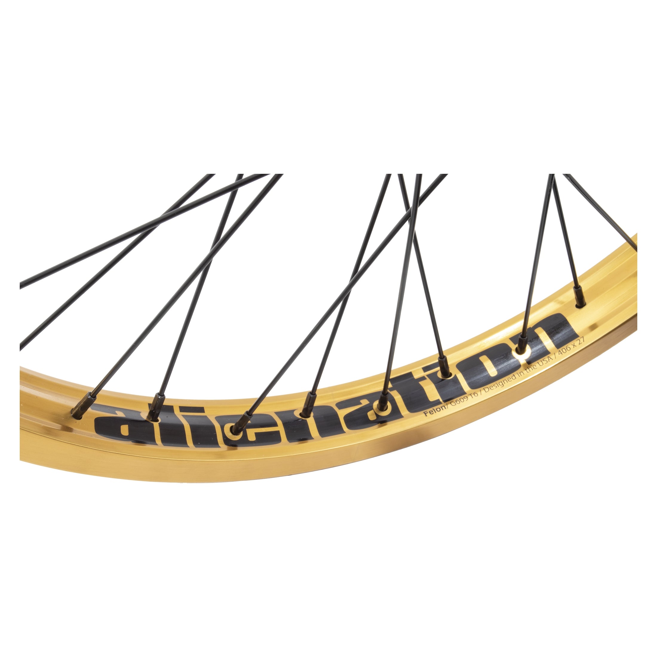 Felon / Illuminati、mySite、bearsvspackers