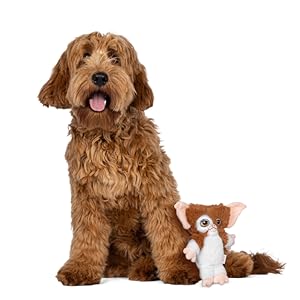 Gremlins, Stripe, Pet, Dog, Toy, Costume, Halloween