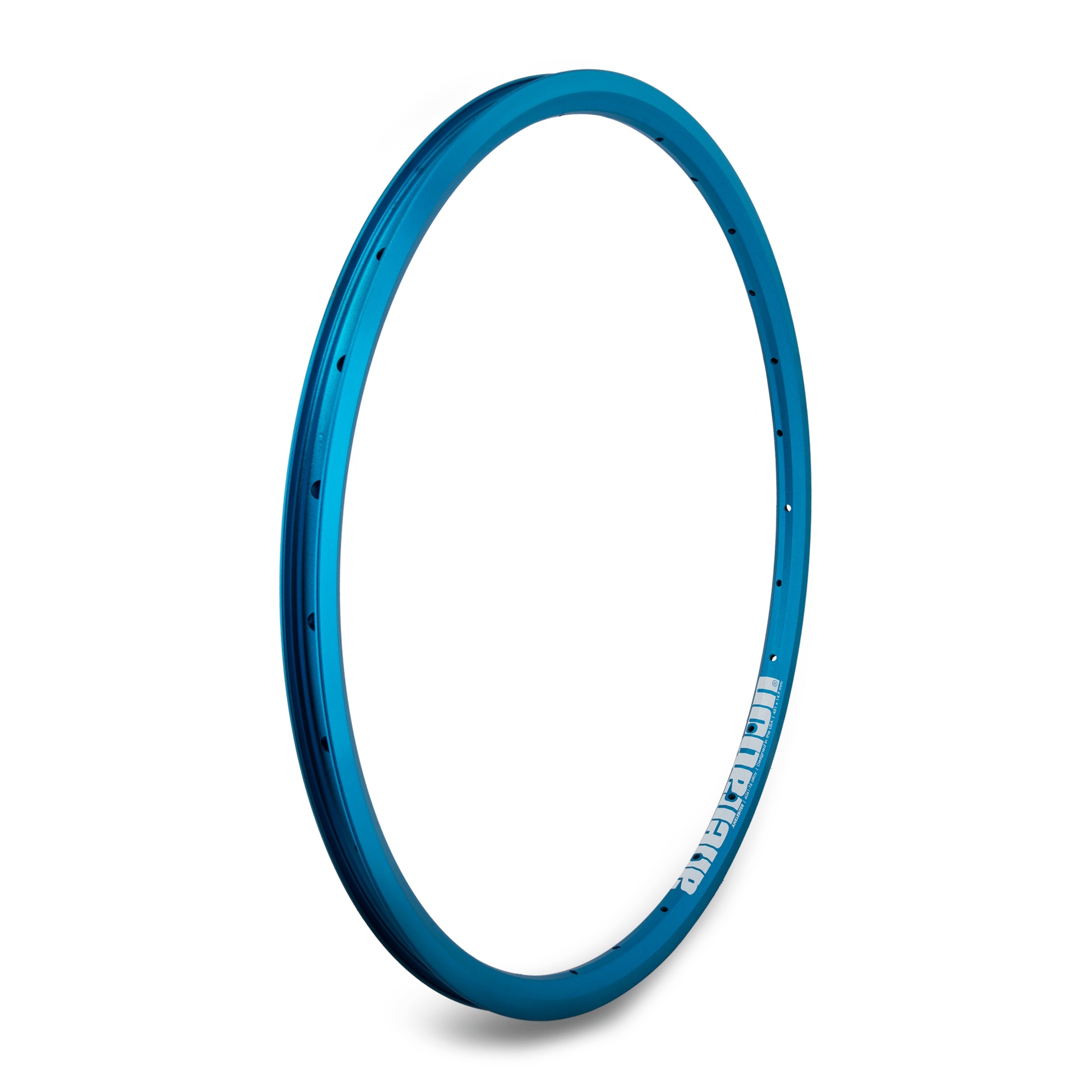 Ankle Biter、mySite、bearsvspackers