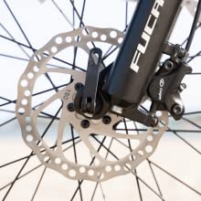 Dual Hydraulic Disc Brake System