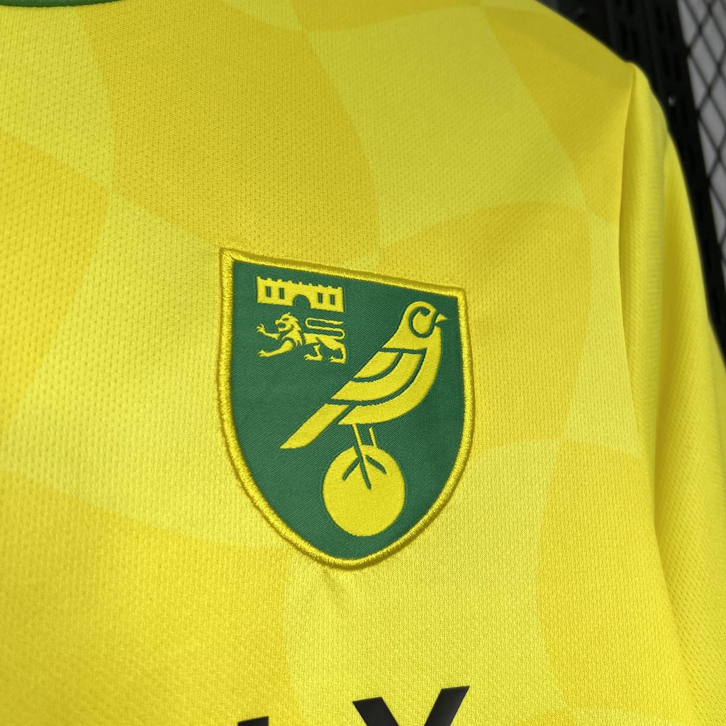 Higojerseys-Norwich City 24-25 Home Stadium Jersey - Fans Version