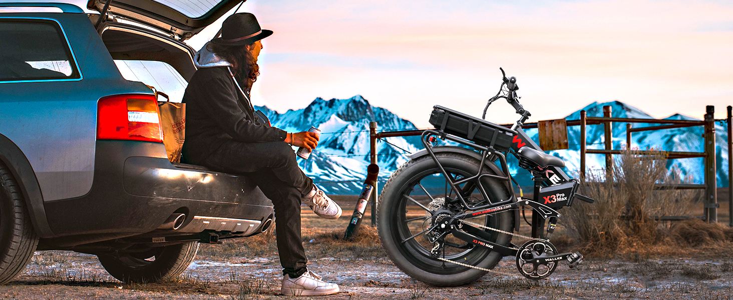 electric bike