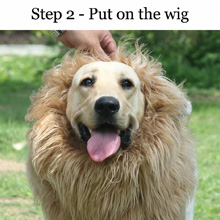 wig for dog