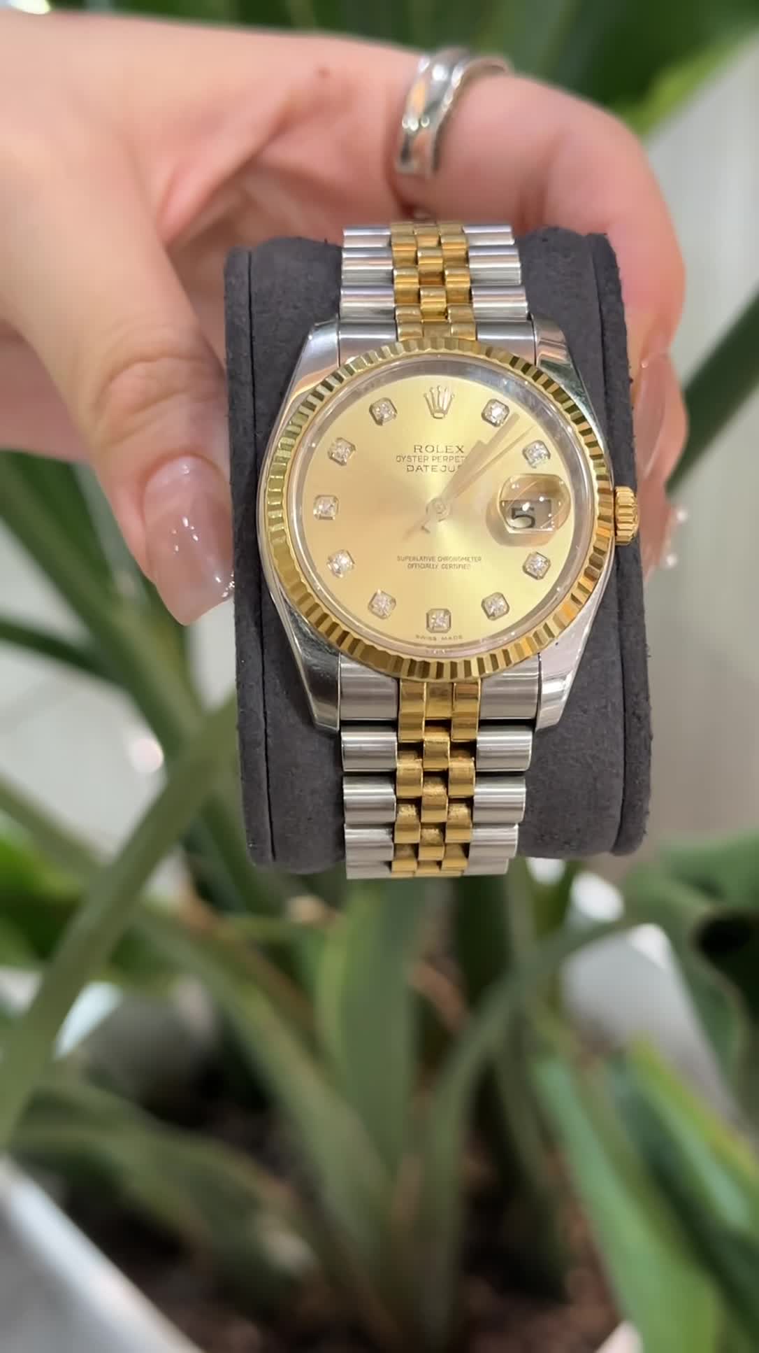 兼职  林炎: luxecystore