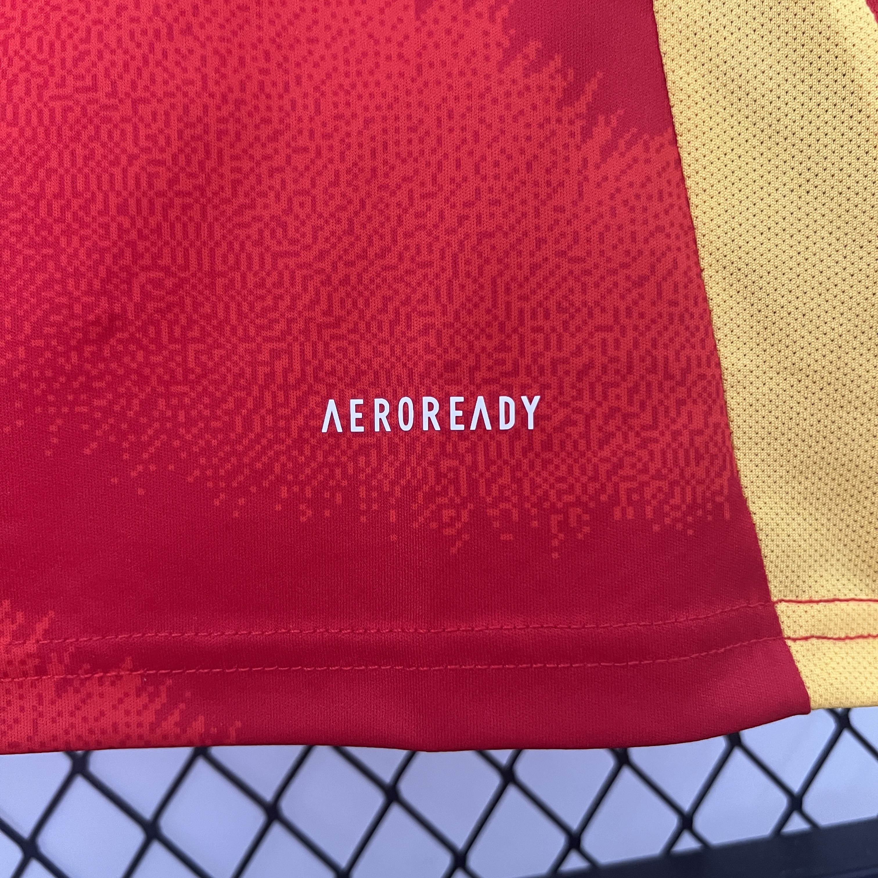 Higojerseys-Spain 2024 Home Stadium Jersey - Fans Version