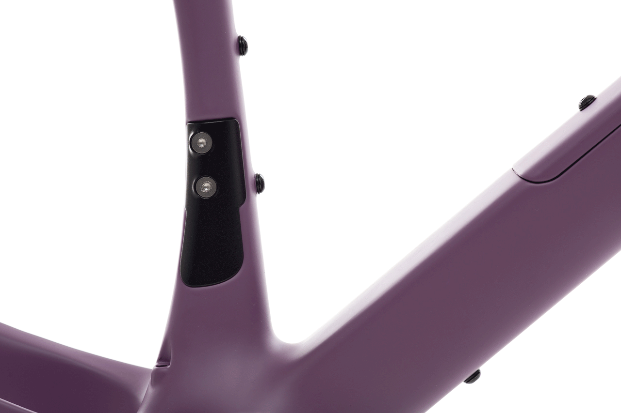 Carbon All-Road v2 Frame & Fork Set - Dusty Merlot、mySite、bearsvspackers