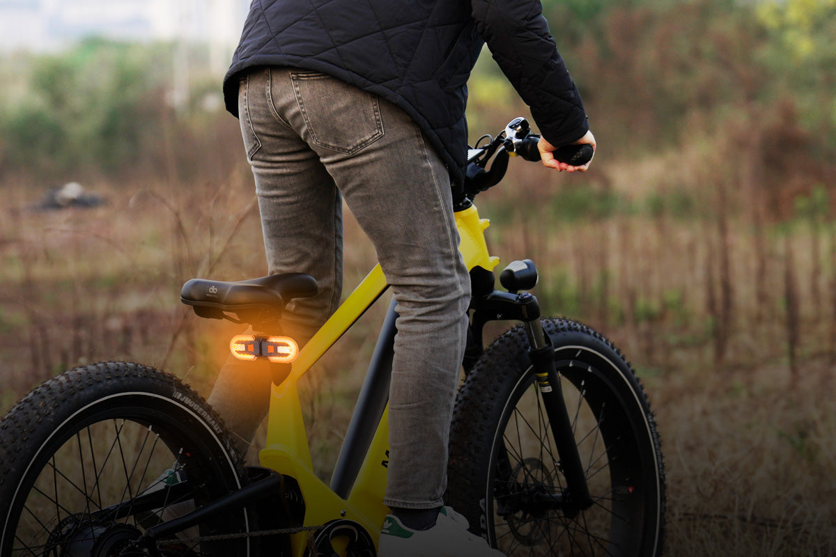 Ebike Tail Light with Turn Signals Wireless Remote Control、mySite、bearsvspackers