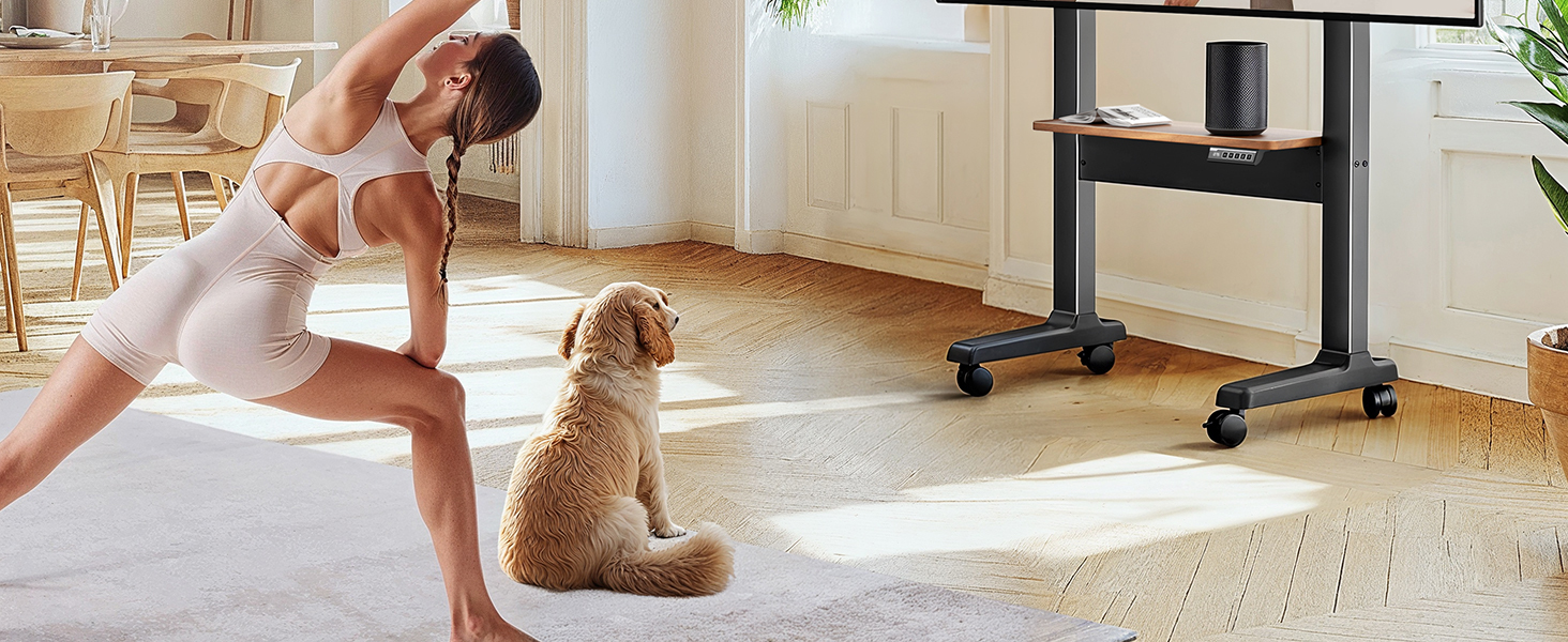 rolling tv cart