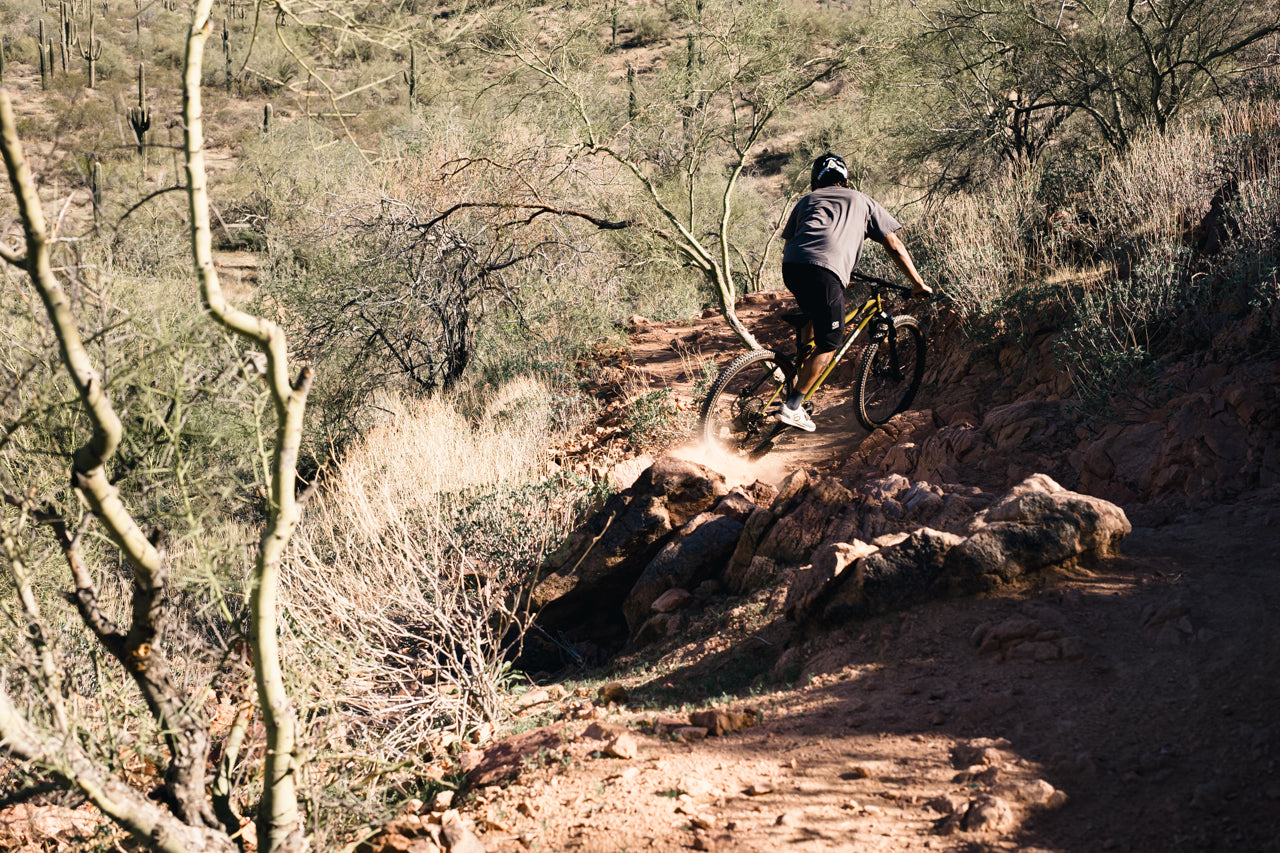 4130 Trail - Mountain Bike - Patina Gold、mySite、bearsvspackers