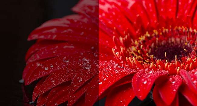 LG OLED evo now comes with Brightness Booster Max