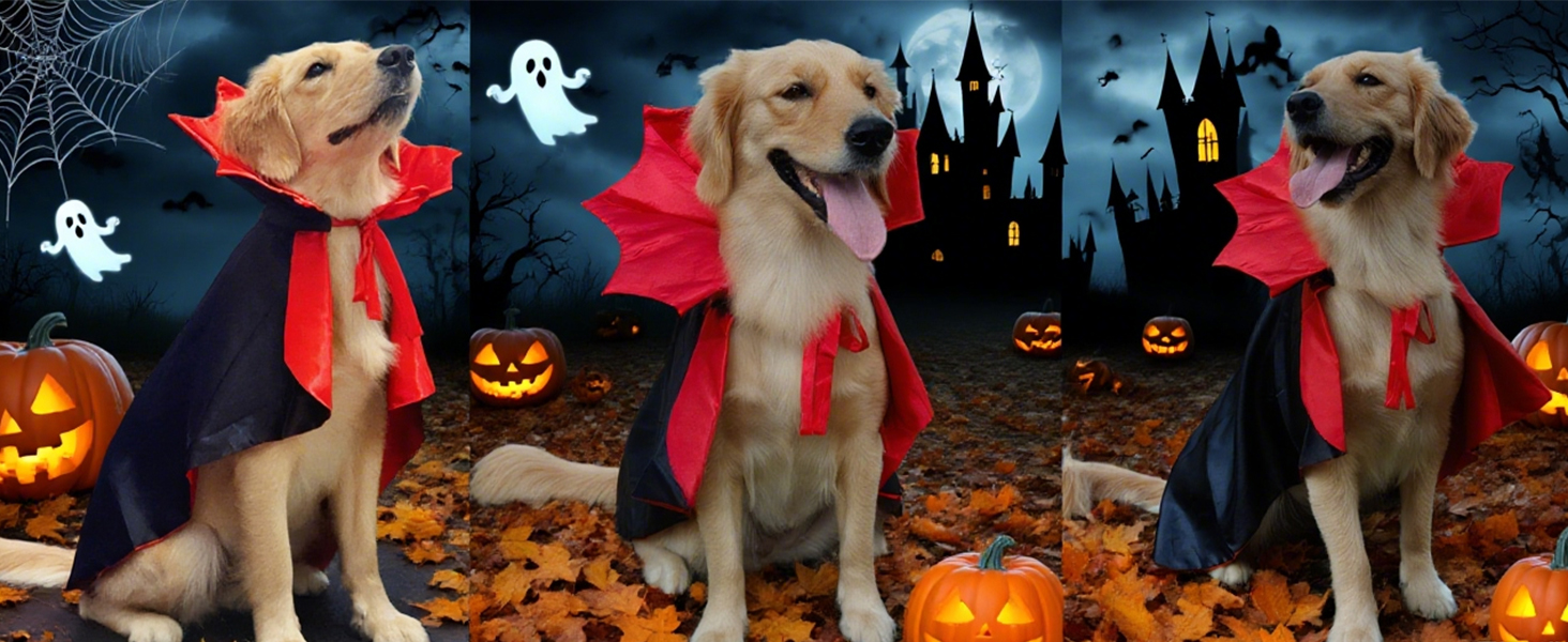 dog halloween costume for large dogs