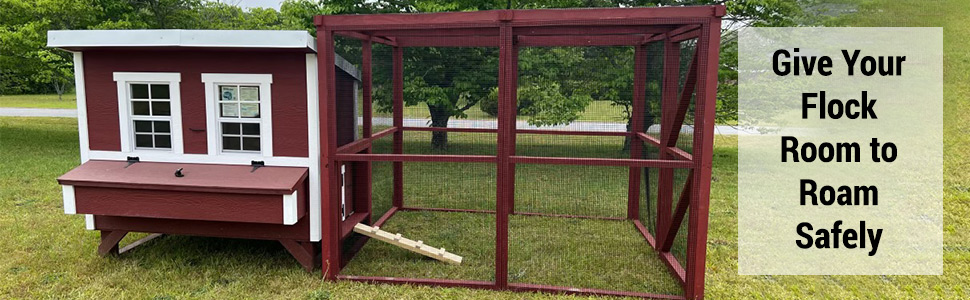 Give Your Flock Room to Roam Safely