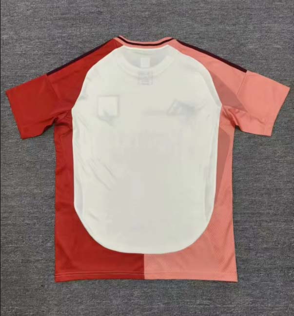 2024/2025 Lyon Third Away Football Shirt 1:1 Thai Quality:football jersey mysite: unitedjerseyfootball 邓江浪:football