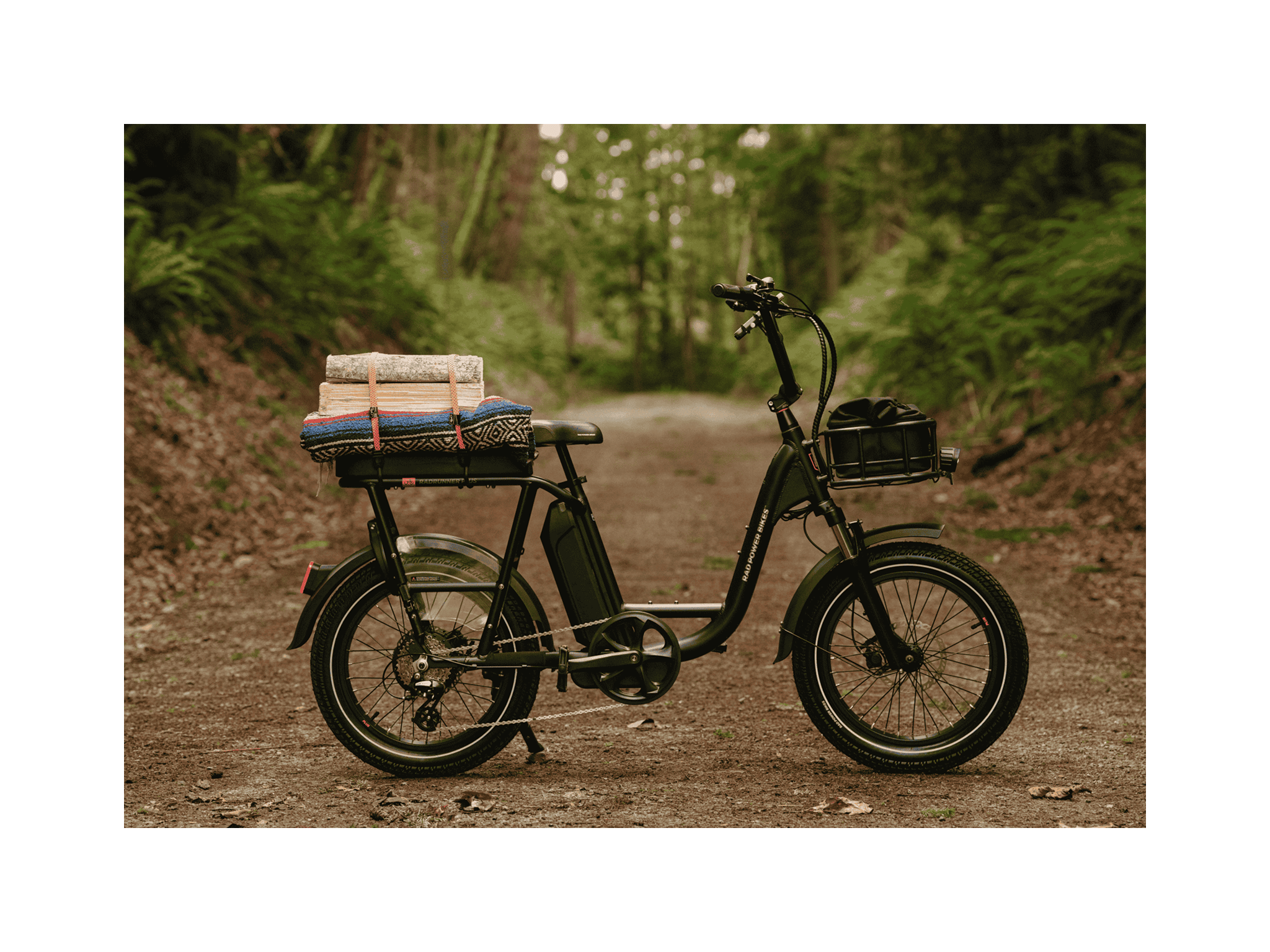 RadRunner™ Plus Electric Cargo Utility Bike、mySite、bearsvspackers